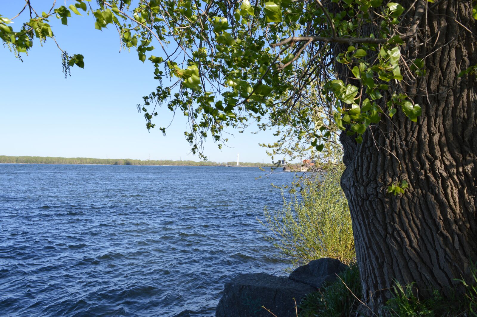 Nikon D3200 sample photo. Nature, ambience, atmospheric photography
