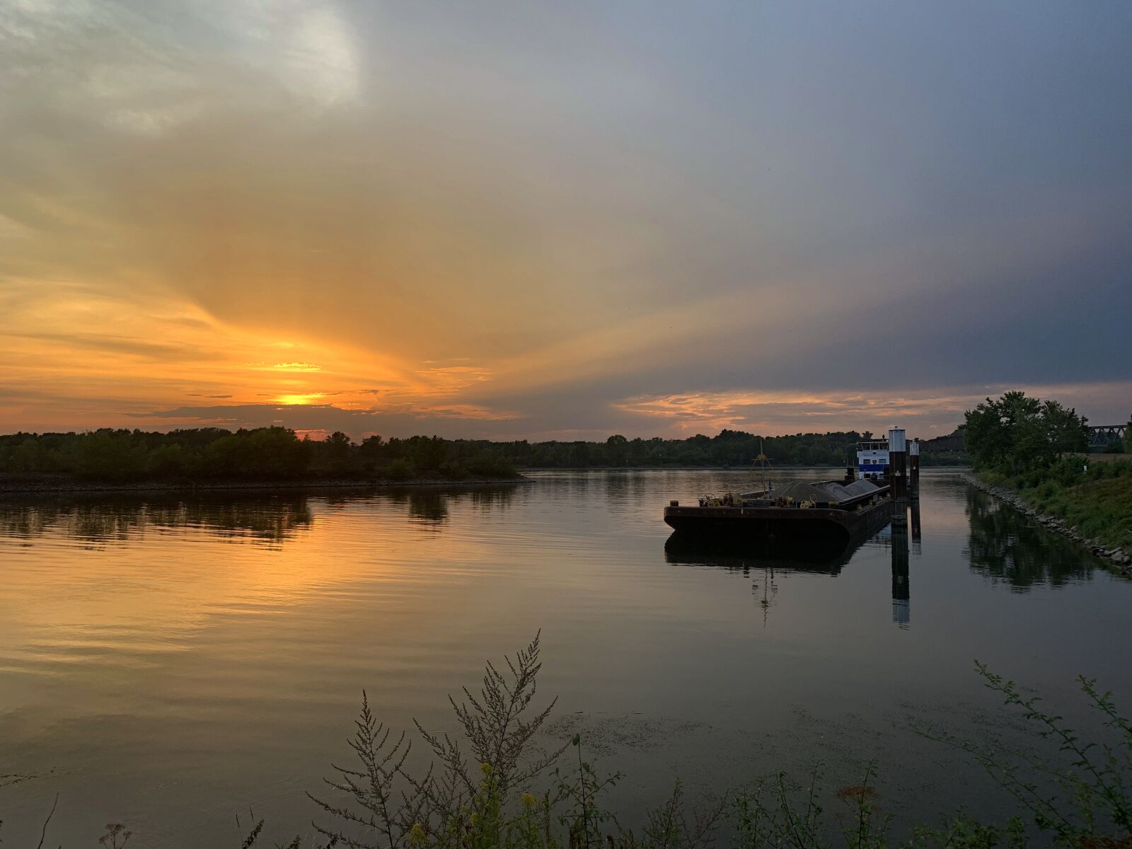 iPhone XR back camera 4.25mm f/1.8 sample photo. Rhine, freighter, export photography