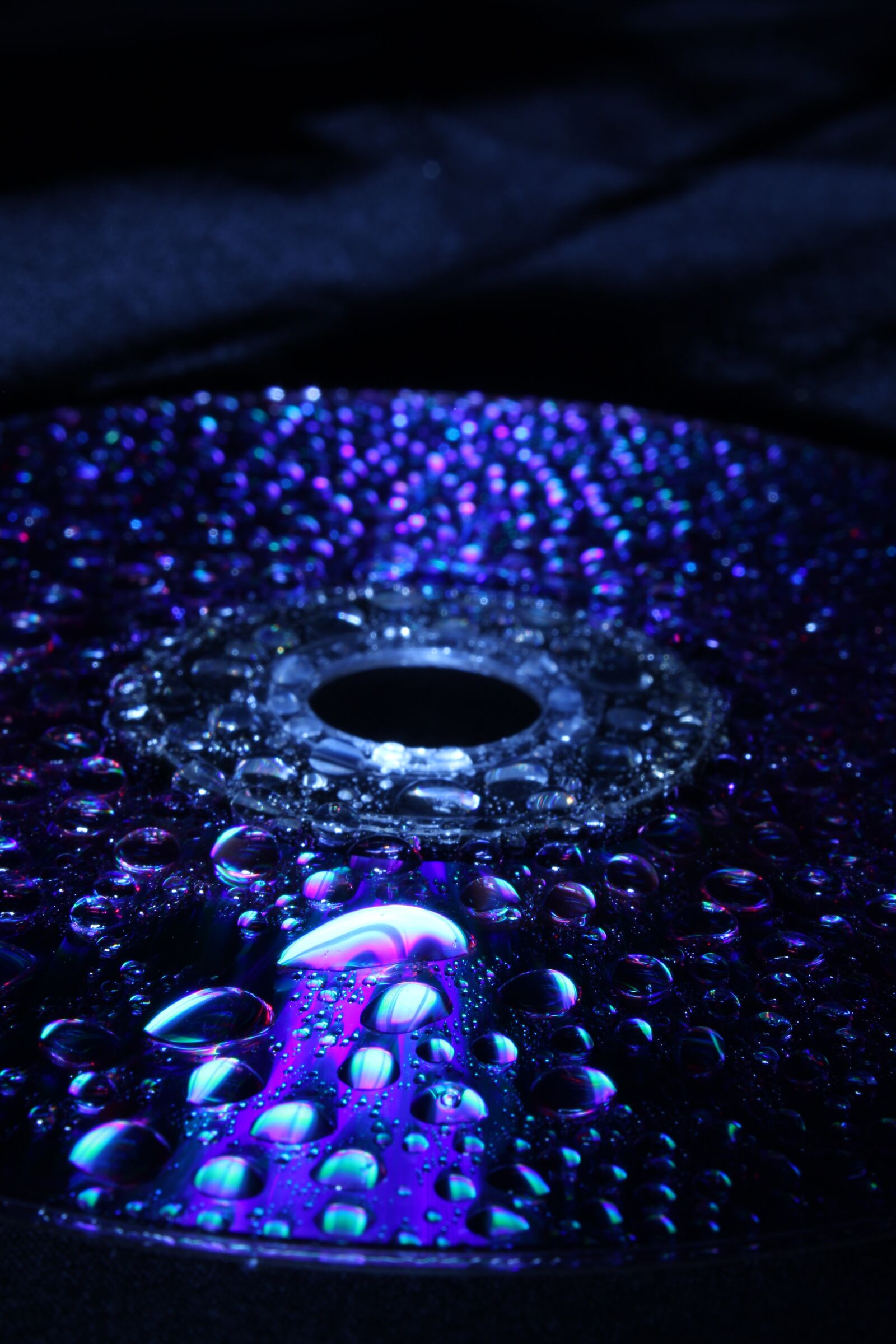 Canon EOS 1300D (EOS Rebel T6 / EOS Kiss X80) sample photo. Floppy disk, water, drip photography