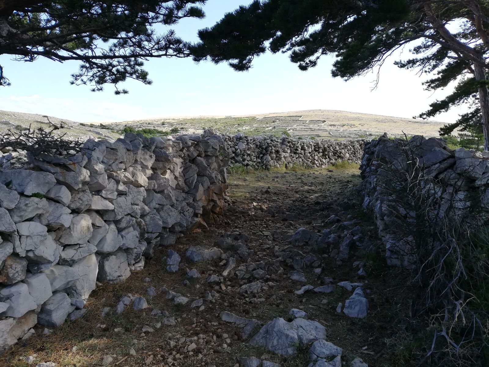 HUAWEI P20 lite sample photo. Stone wall, wall, stones photography