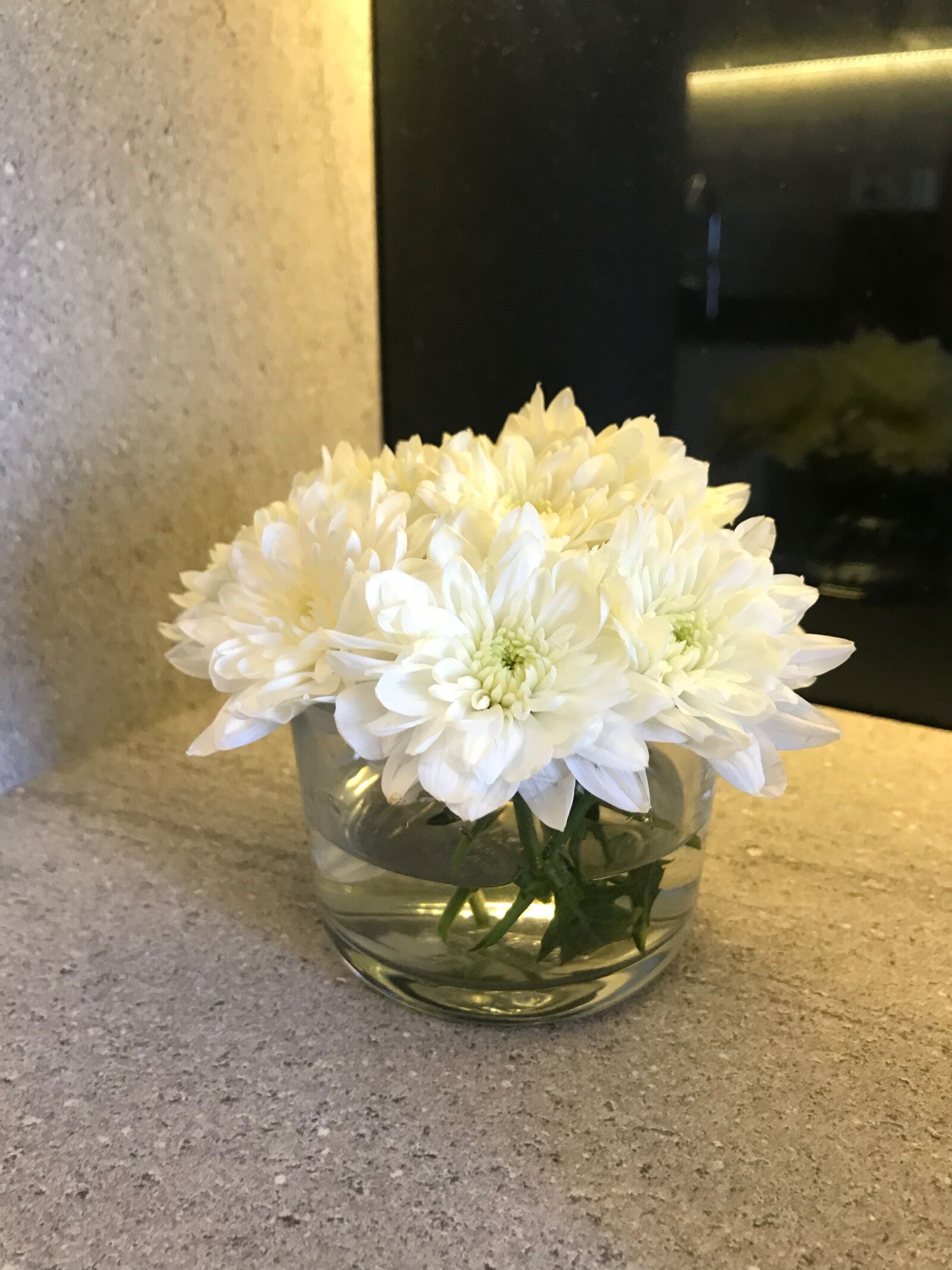 Apple iPhone 7 Plus sample photo. Flower, glass cup, interior photography