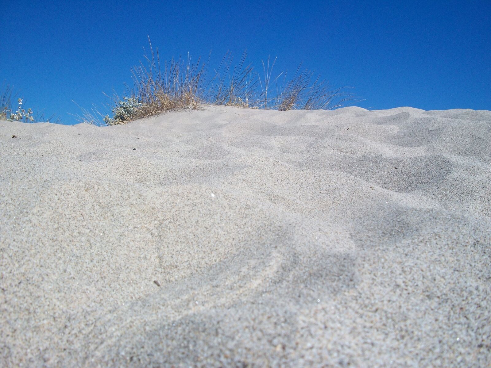 Kodak EASYSHARE C180 DIGITAL CAMERA sample photo. Dune, sand, sea photography