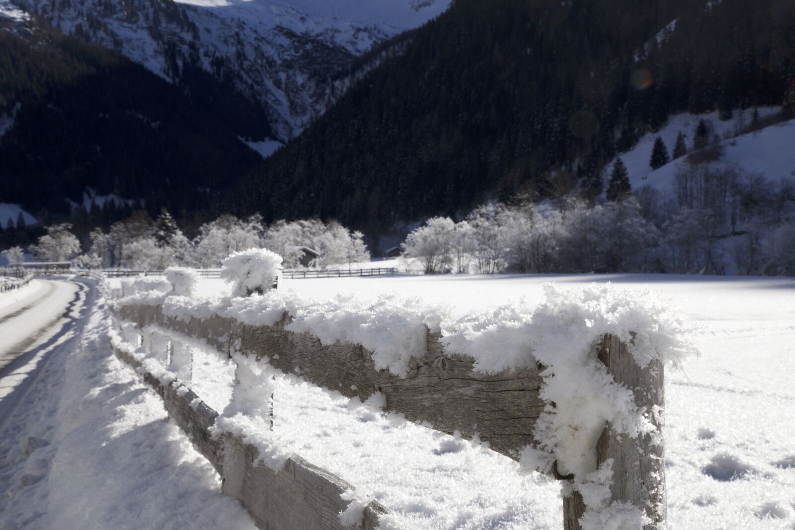 Canon EOS 6D + Canon EF 24-105mm F4L IS USM sample photo. Fence, winter panorama, hoarfrost photography