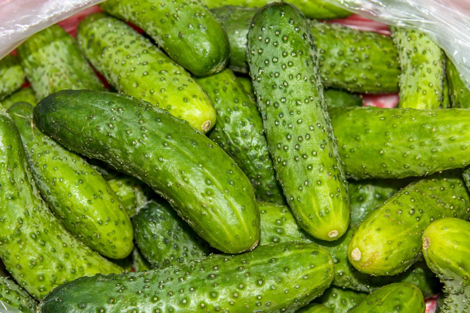 Canon EF-S 17-85mm F4-5.6 IS USM sample photo. Cucumbers, food, healthy photography
