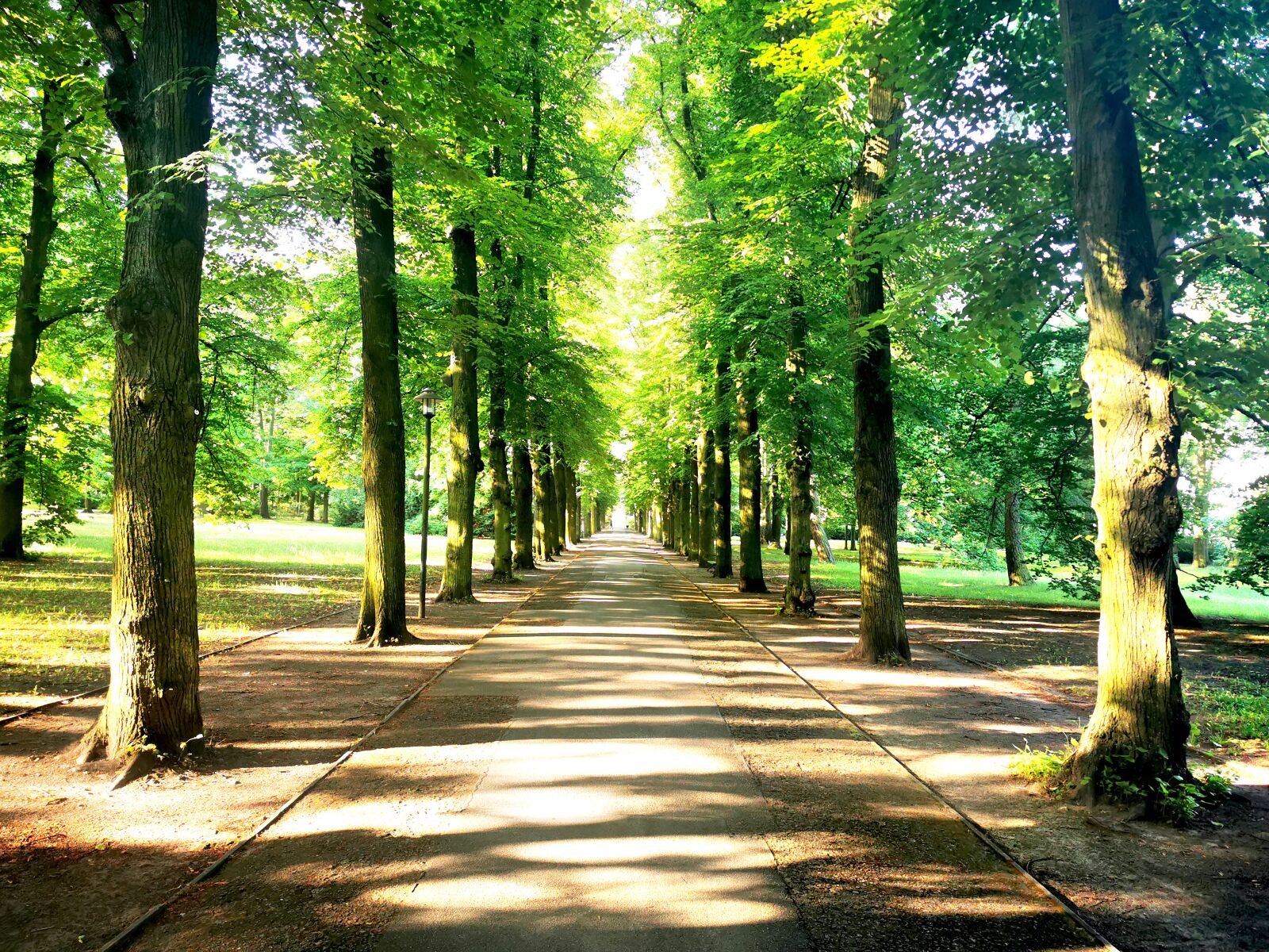 HUAWEI P30 Pro sample photo. Castle, biesdorf, schloss biesdorf photography