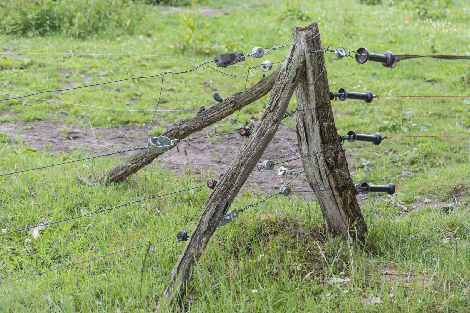 Nikon D5200 sample photo. Electricity, electric fence, voltage photography