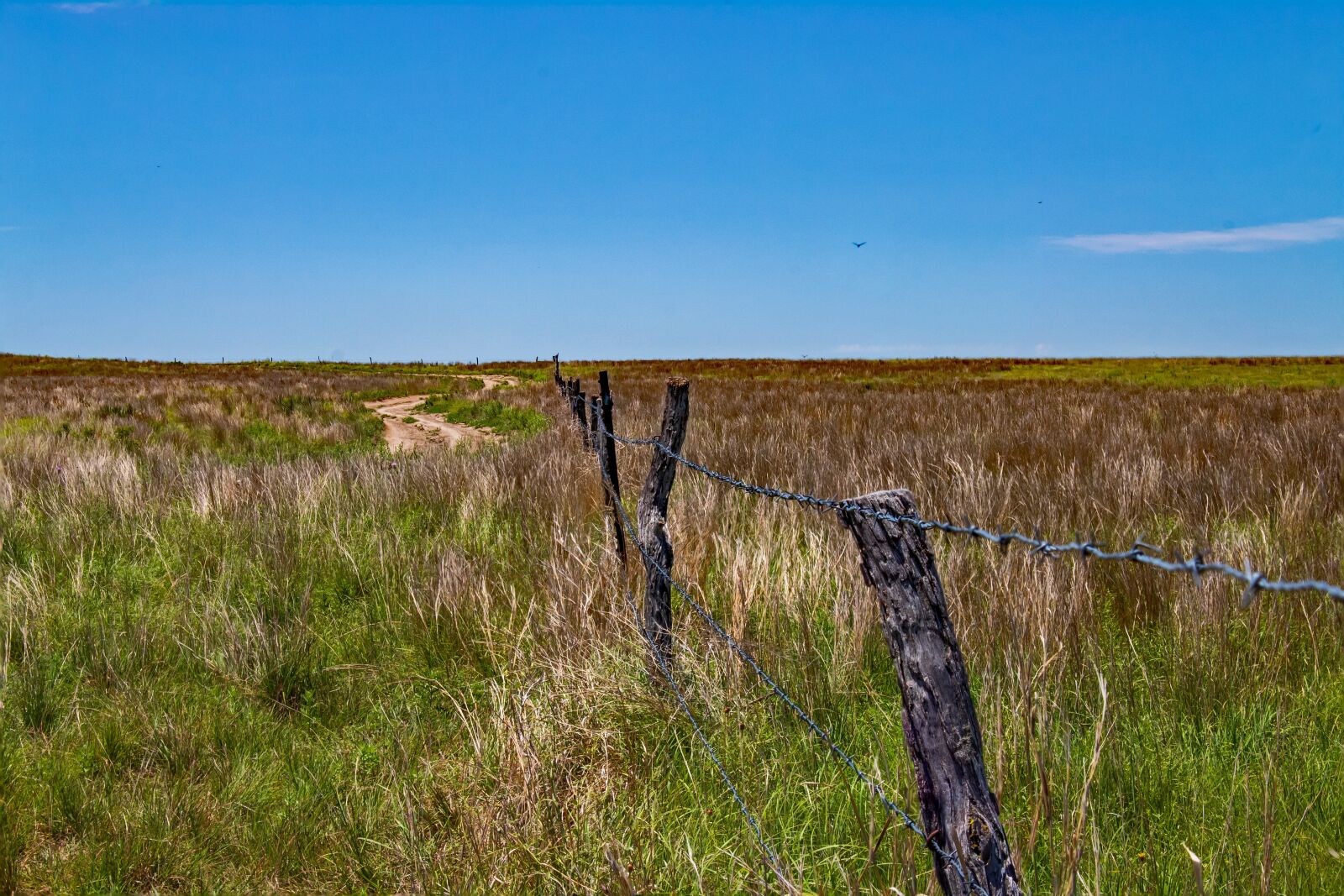 Canon EOS 1300D (EOS Rebel T6 / EOS Kiss X80) sample photo. Fence, field, landscape photography