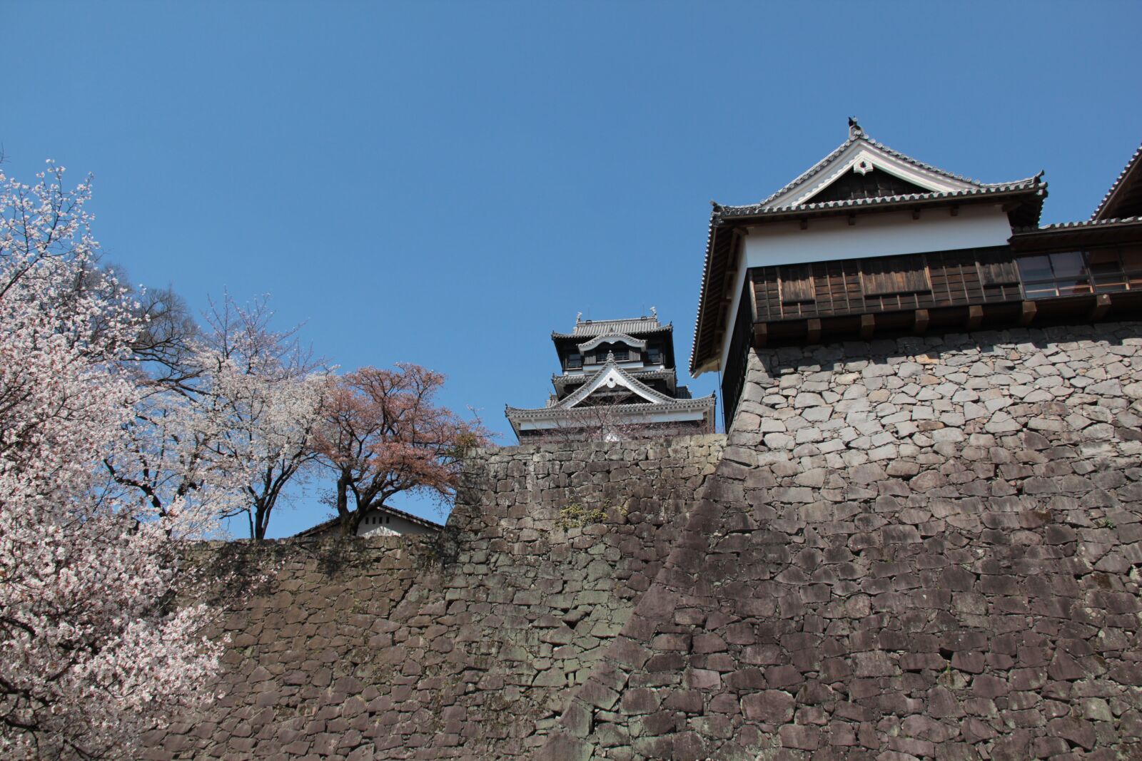 Canon EF-S 18-135mm F3.5-5.6 IS sample photo. Japan, castle, kumamoto castle photography