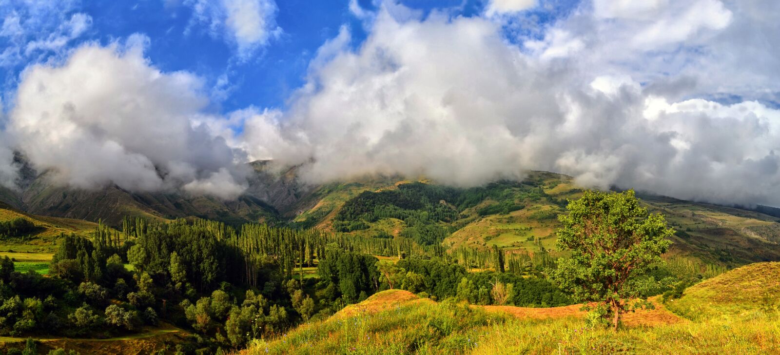 Nikon D5100 sample photo. Nature, landscape, kaçkars photography