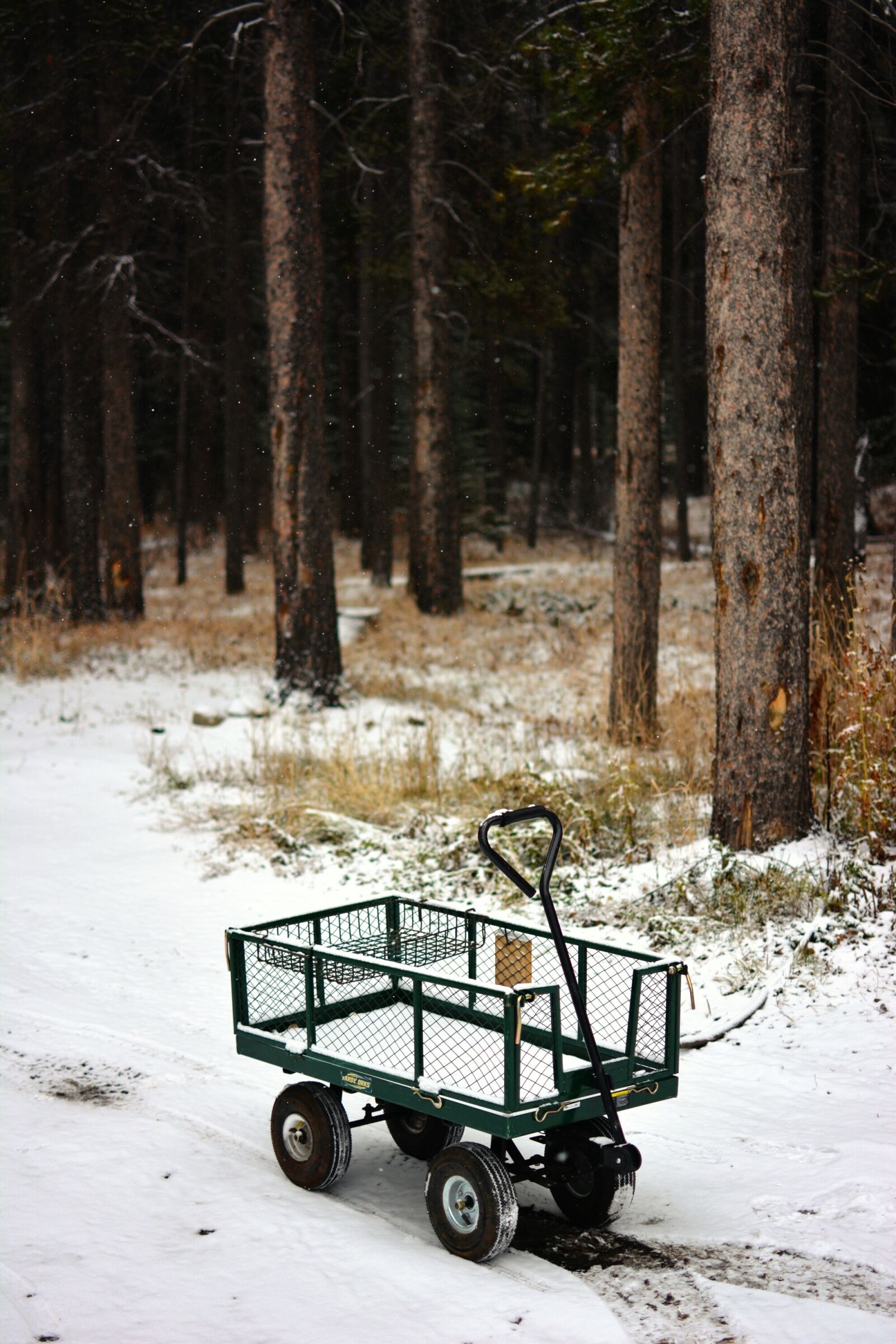 Nikon D5200 sample photo. Cart, daylight, environment photography