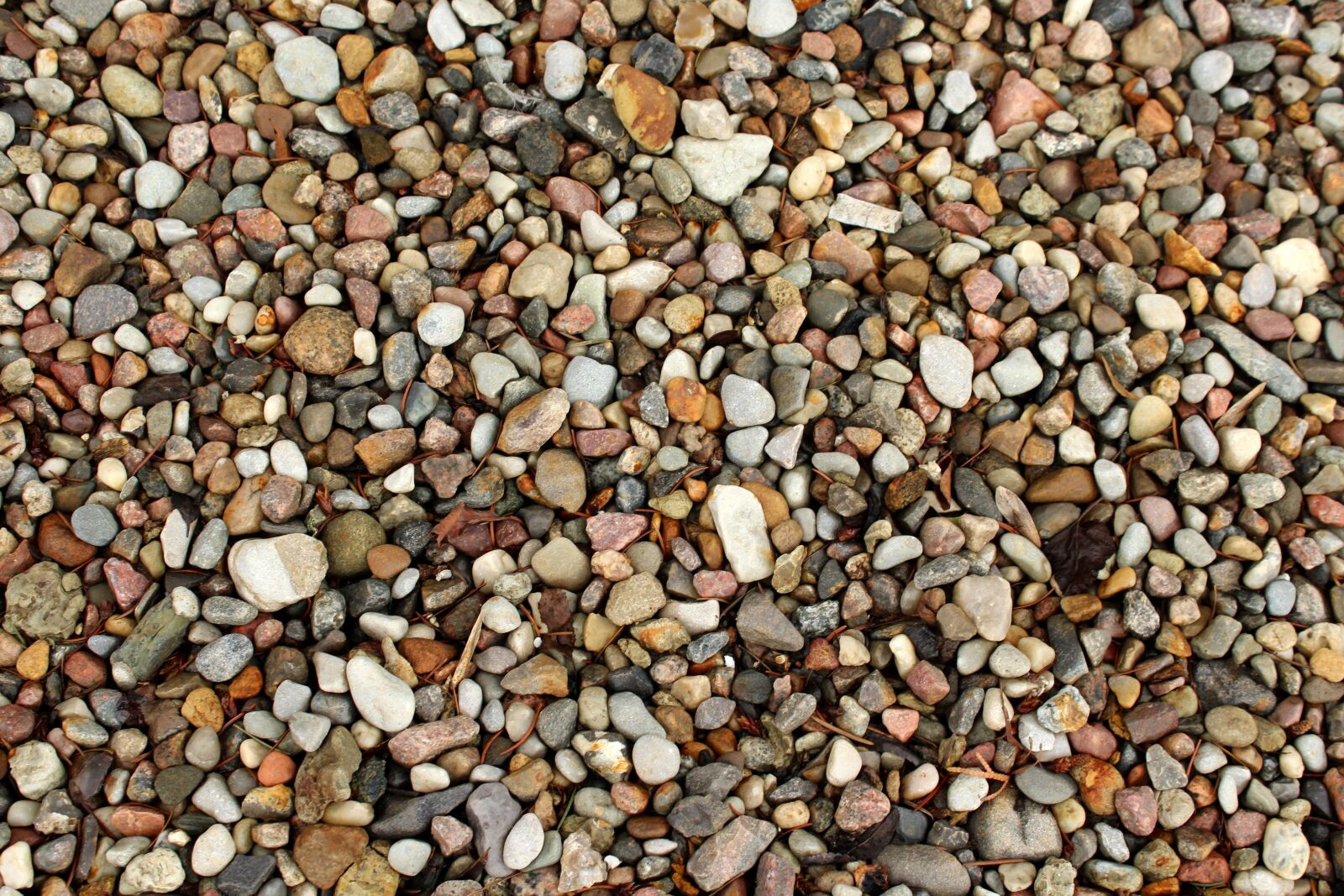 Canon EOS 1200D (EOS Rebel T5 / EOS Kiss X70 / EOS Hi) sample photo. Pebbles, the stones, the photography