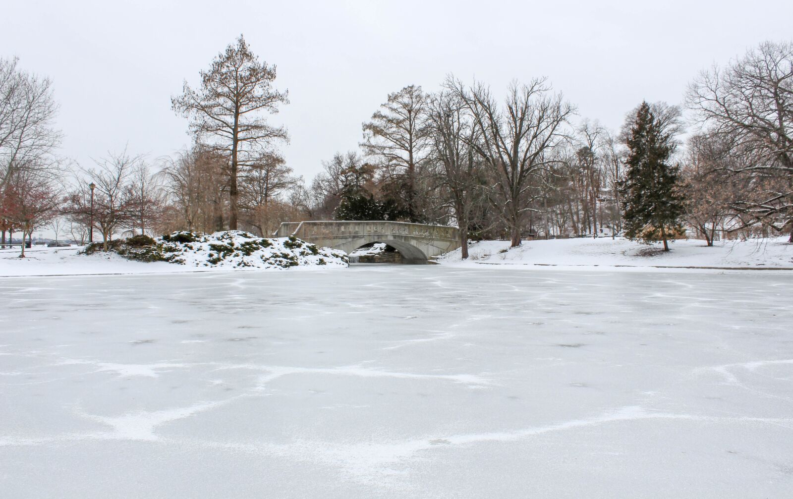 Canon EOS 600D (Rebel EOS T3i / EOS Kiss X5) sample photo. Winter, snow, cold photography