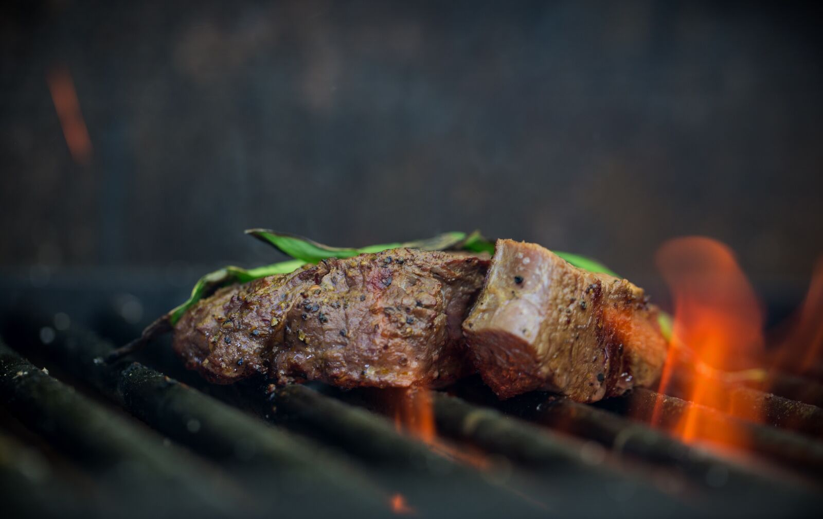 Canon EF 100mm F2.8L Macro IS USM sample photo. Grill, meat, fire photography