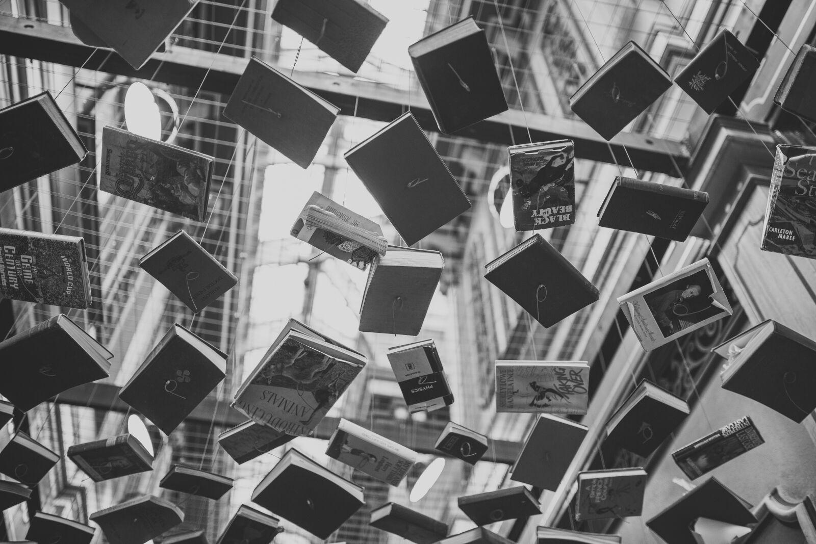 Canon EOS 6D + Sigma 35mm F1.4 DG HSM Art sample photo. Books, sculpture, write, reading photography