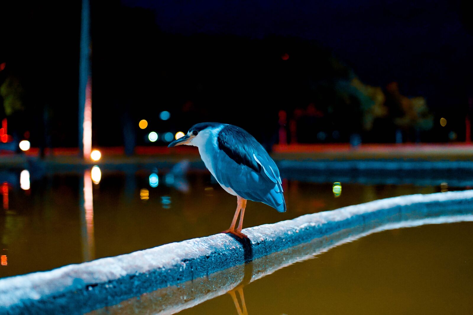 E 50mm F1.8 OSS sample photo. Square crystals, brasilia, brazil photography