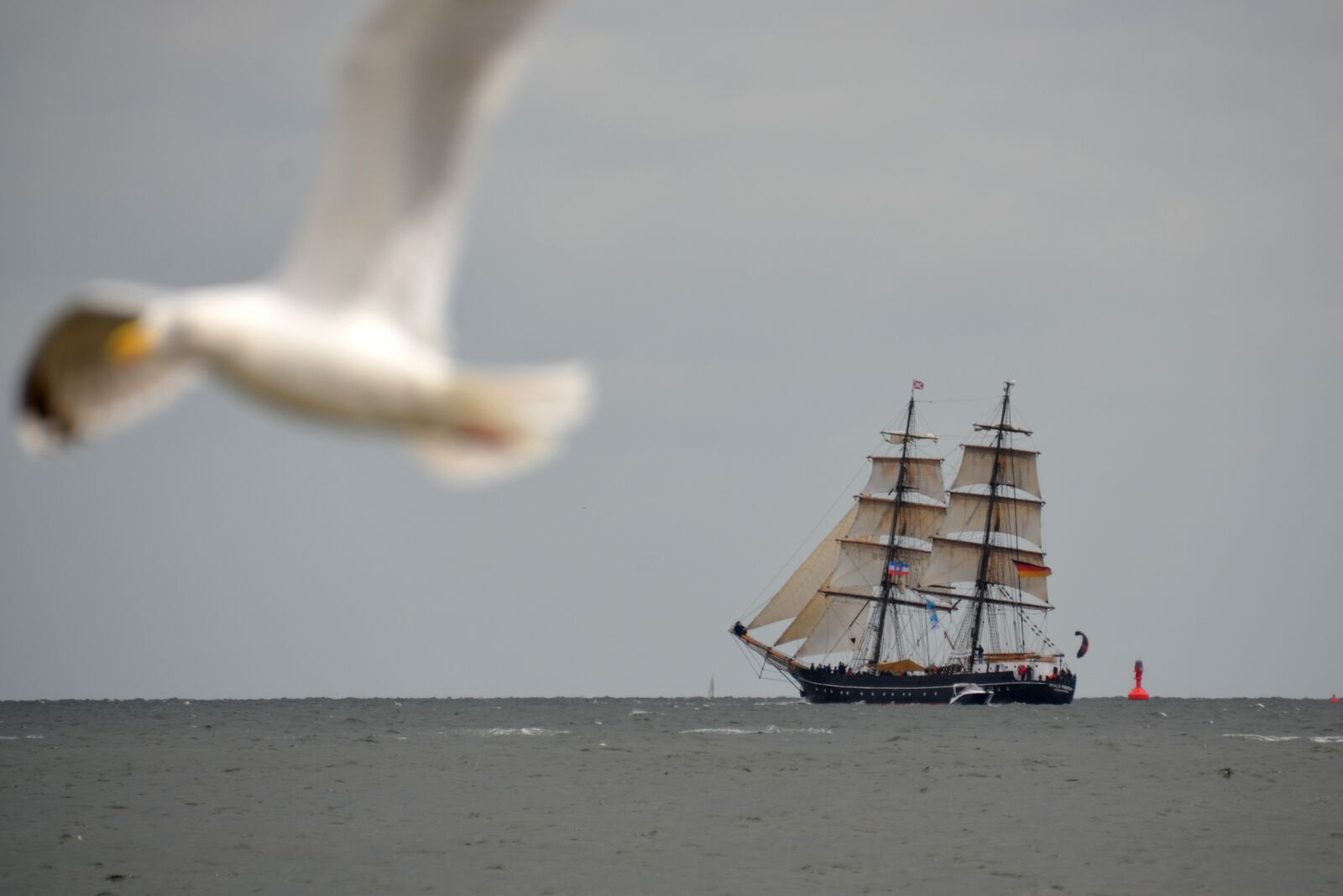 Nikon D5100 sample photo. Sail, ship, kiel week photography