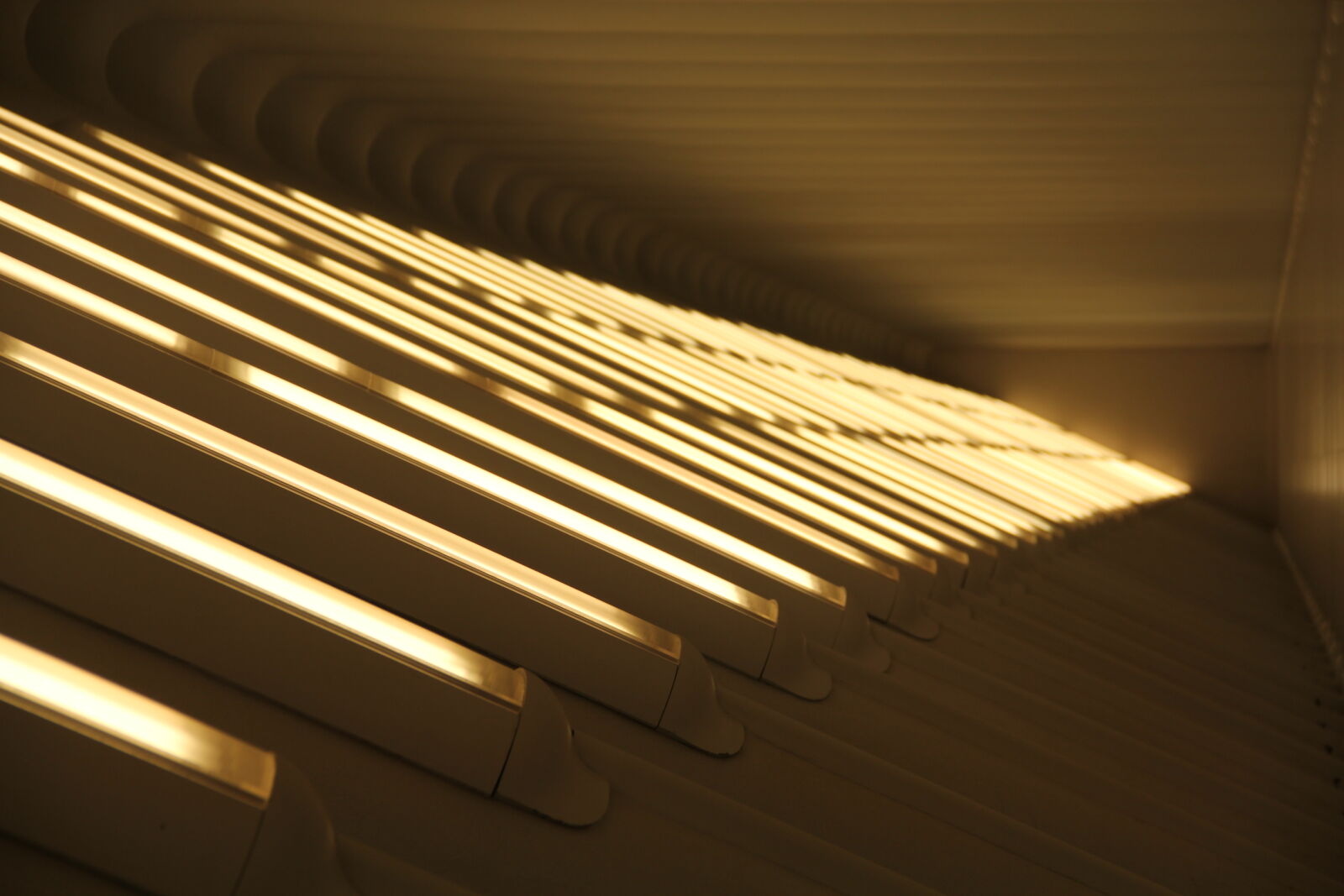Canon EOS 60D sample photo. Illuminated, area, lighting, lighting photography