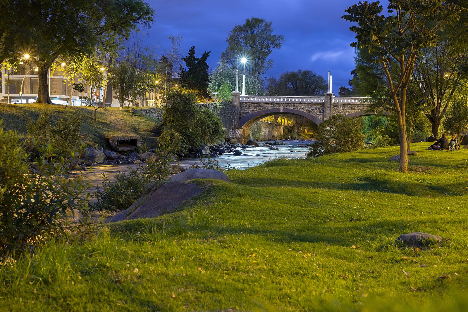 Nikon D600 sample photo. Basin, bridge of the photography