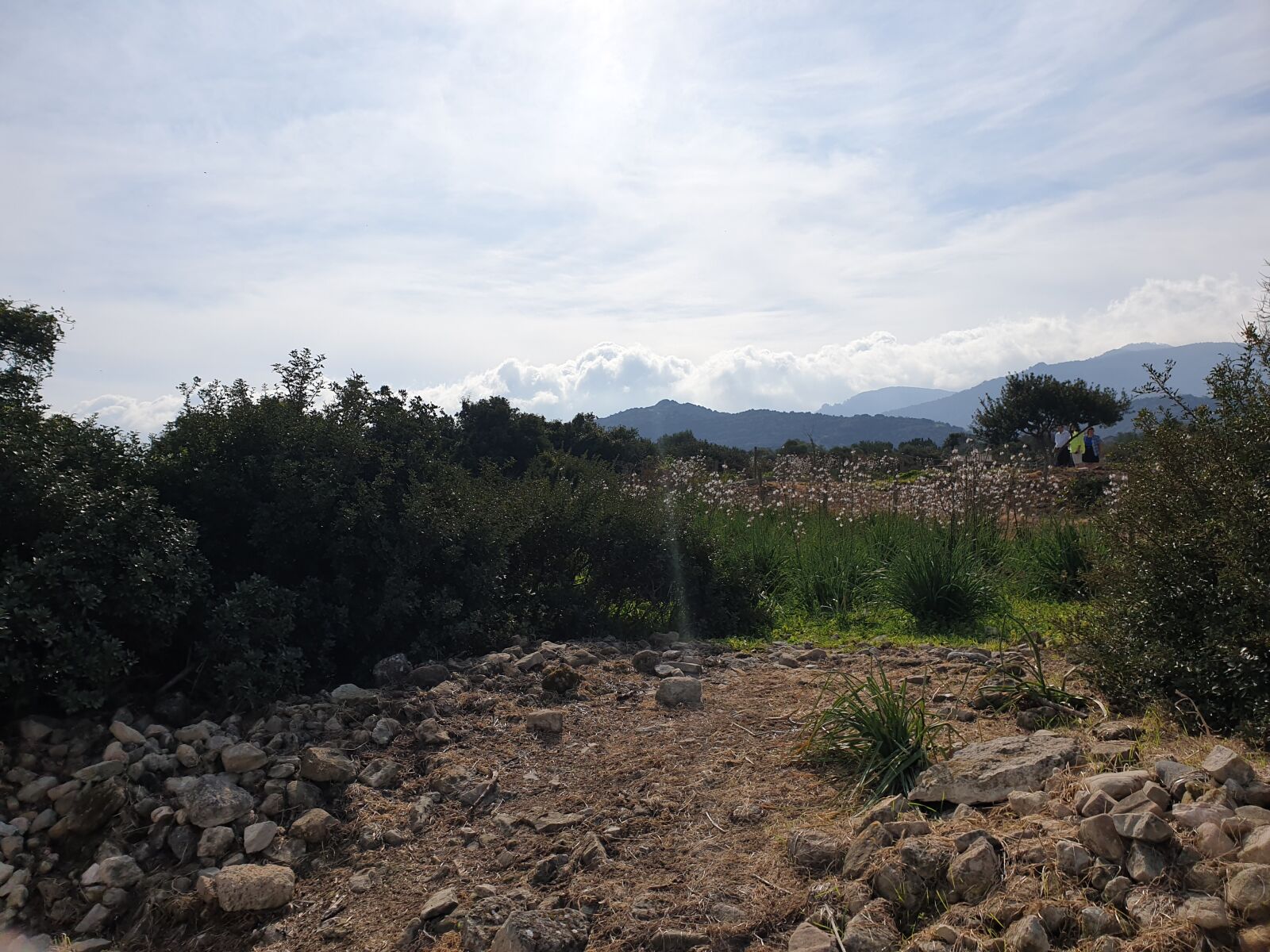 Samsung Galaxy S9+ sample photo. North cyprus, landscape, scrub photography