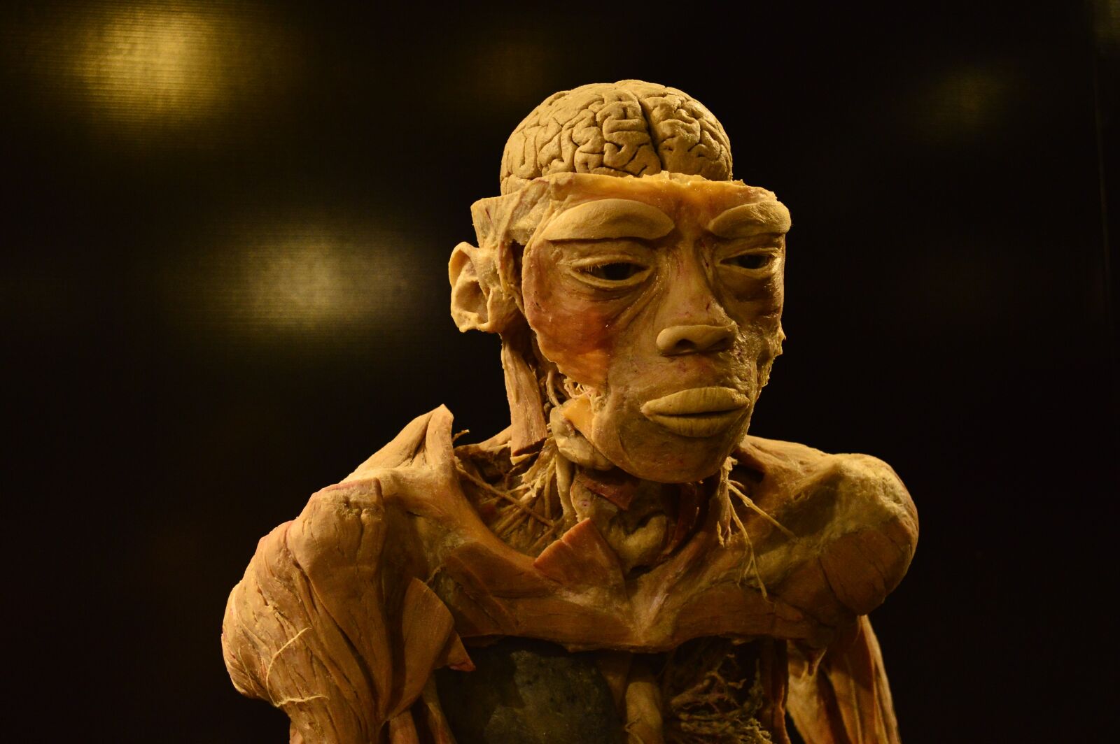 Nikon D3200 sample photo. Human body, sample, technopolis photography
