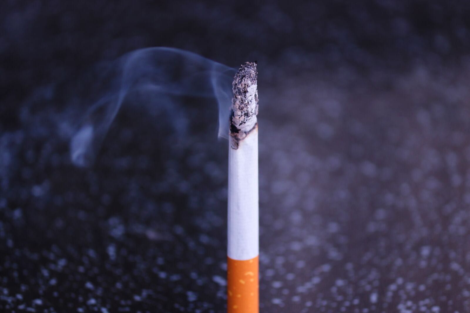 Canon EOS 200D (EOS Rebel SL2 / EOS Kiss X9) sample photo. Cigarette, tobacco, smoke photography