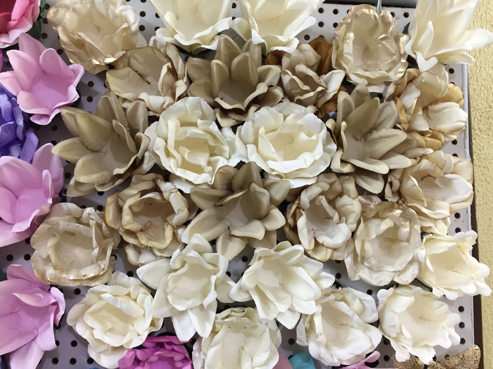 Apple iPhone 6 sample photo