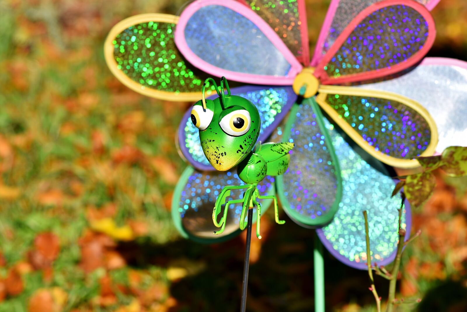 Nikon D7200 sample photo. Grasshopper, grasshopper figure, deco photography