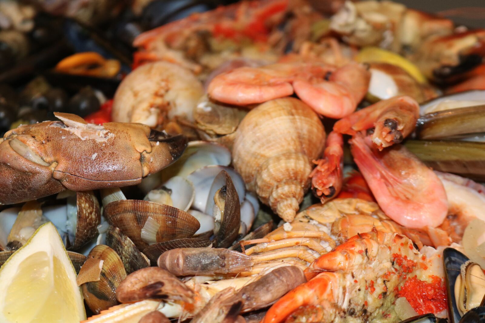 Canon EOS 750D (EOS Rebel T6i / EOS Kiss X8i) sample photo. Seafood, shellfish, food photography