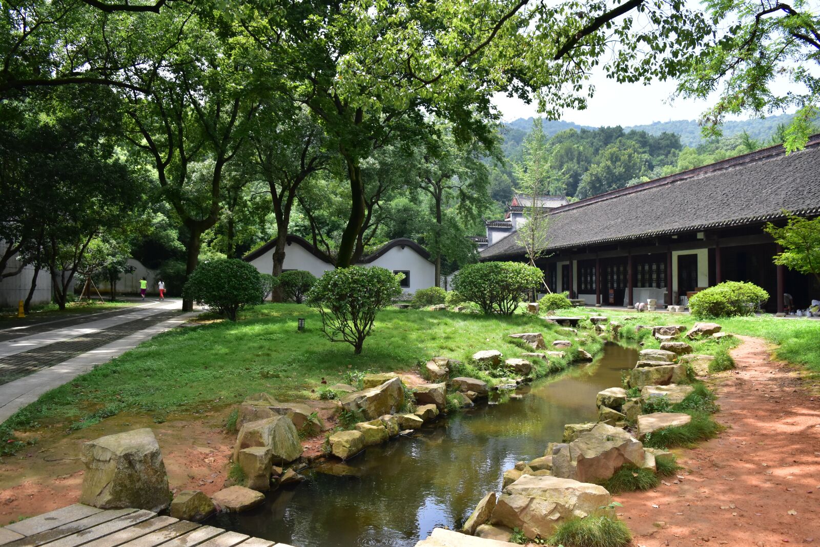 Nikon D5500 sample photo. Scene, tree, garden photography