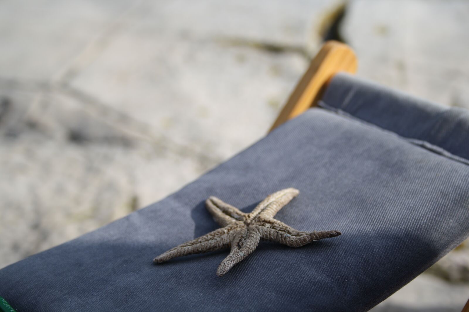 Canon EOS 1000D (EOS Digital Rebel XS / EOS Kiss F) sample photo. Starfish, sea, beach photography