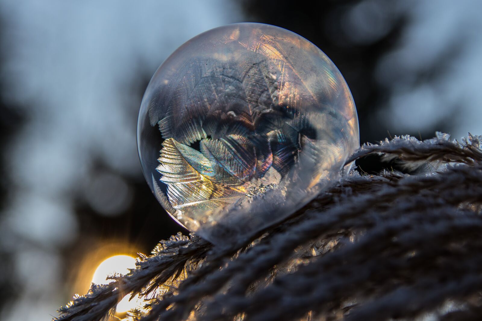 Canon EOS 80D sample photo. Frozen bubble, ice crystal photography