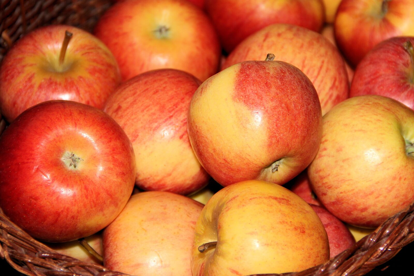 Canon EOS 600D (Rebel EOS T3i / EOS Kiss X5) sample photo. Fruit, food, apple photography