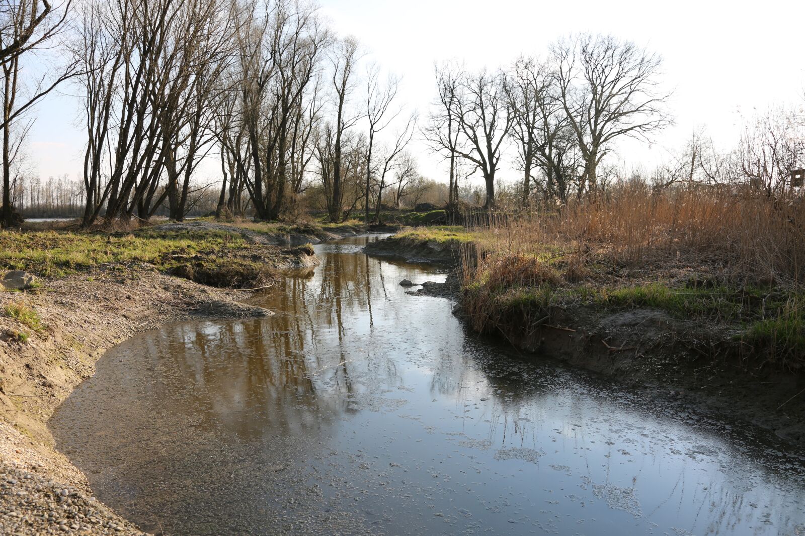 Canon EF 24-105mm F4L IS USM sample photo. Water, river, bank photography