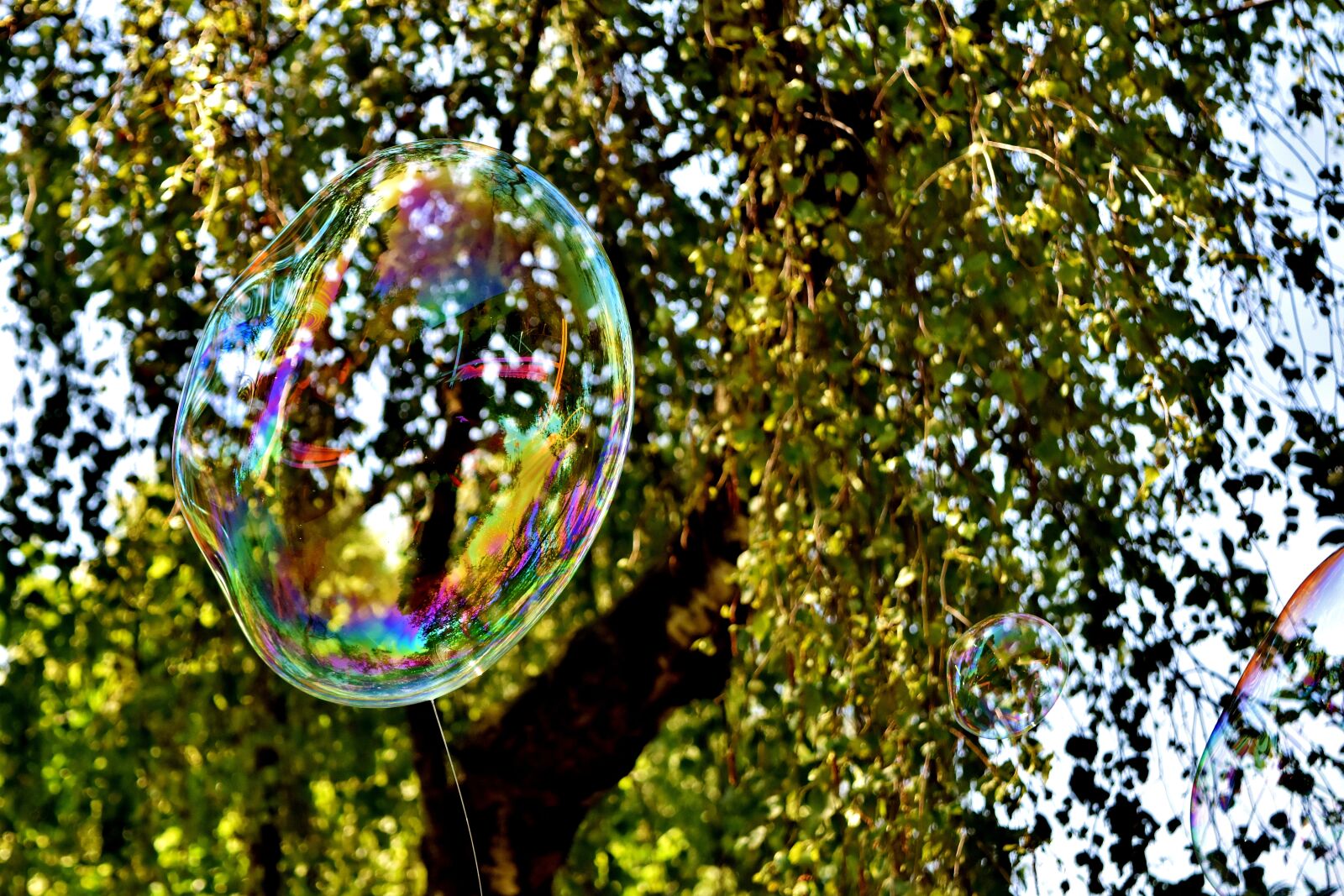 Nikon D7200 sample photo. Soap bubble, huge, large photography