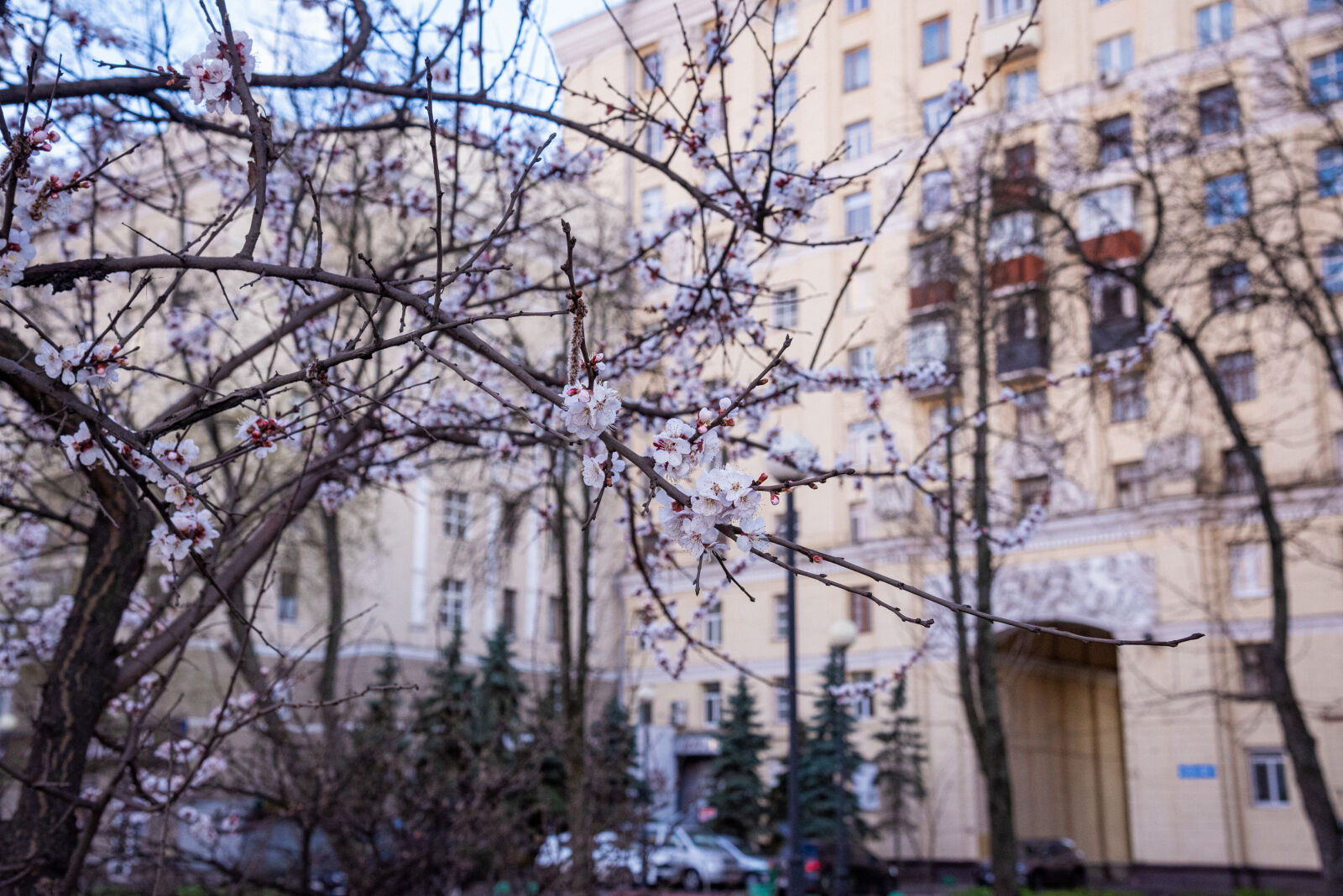 Nikon D750 sample photo