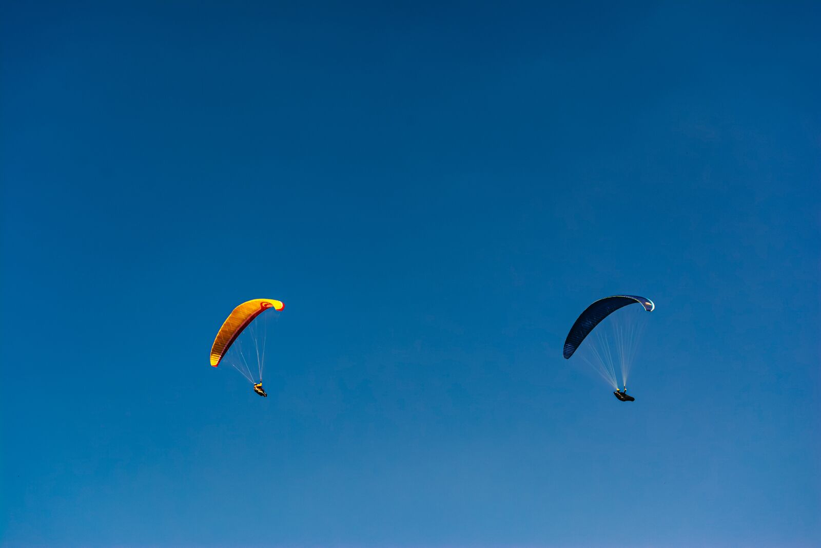 Nikon D7100 sample photo. Parachutes, sky, couple photography