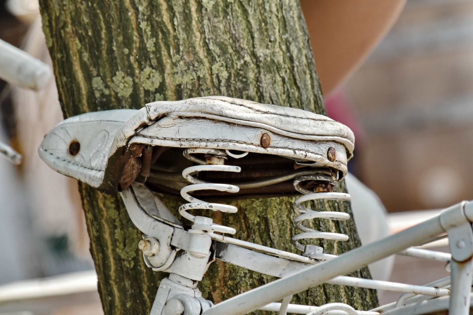Nikon D5500 sample photo. Bicycle, decoration, nostalgia, old photography