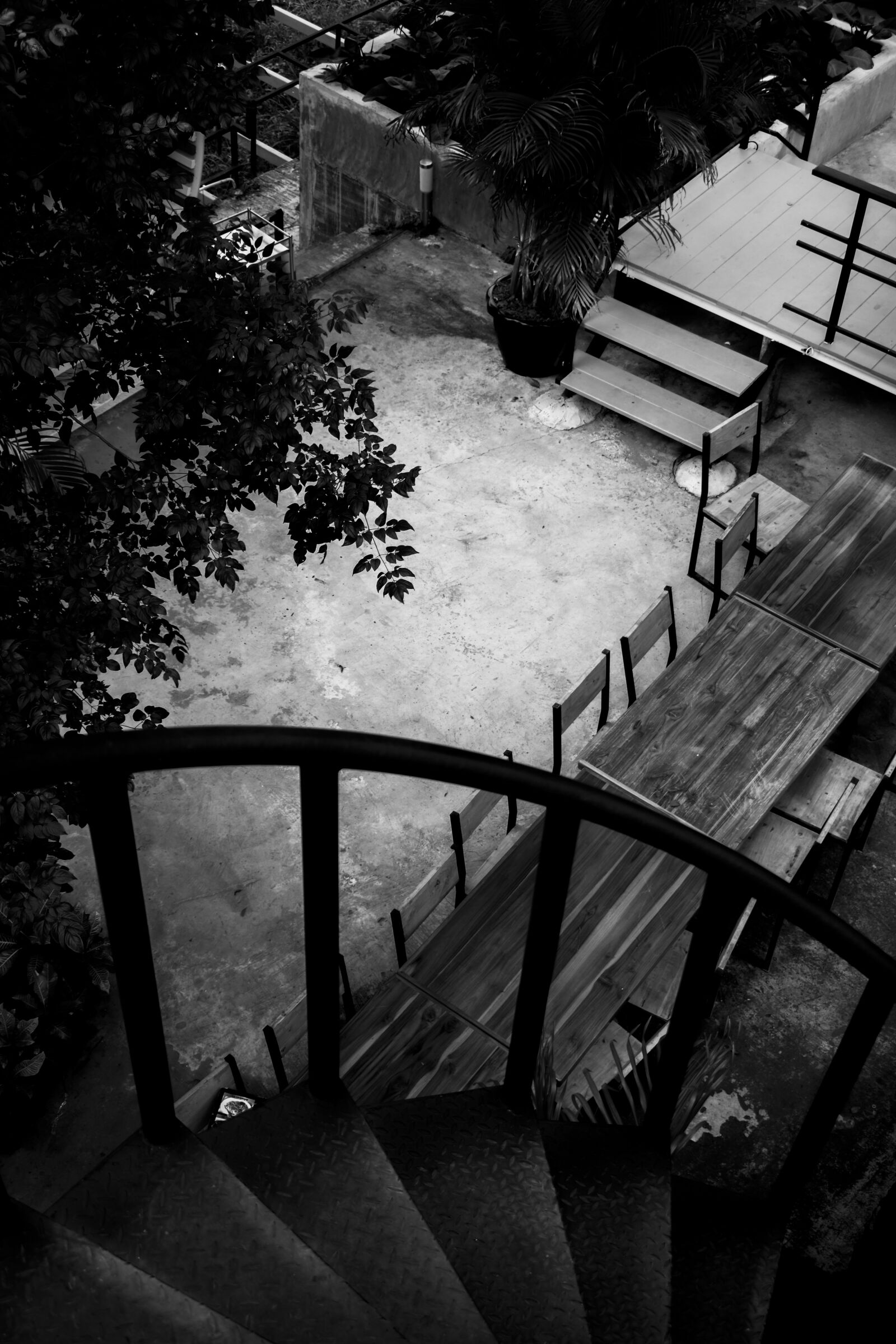 Nikon D5600 sample photo. Black, shadow, dark photography