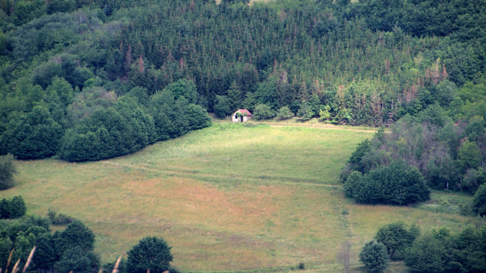 Canon EOS 600D (Rebel EOS T3i / EOS Kiss X5) sample photo. Meadow, house, landscape photography