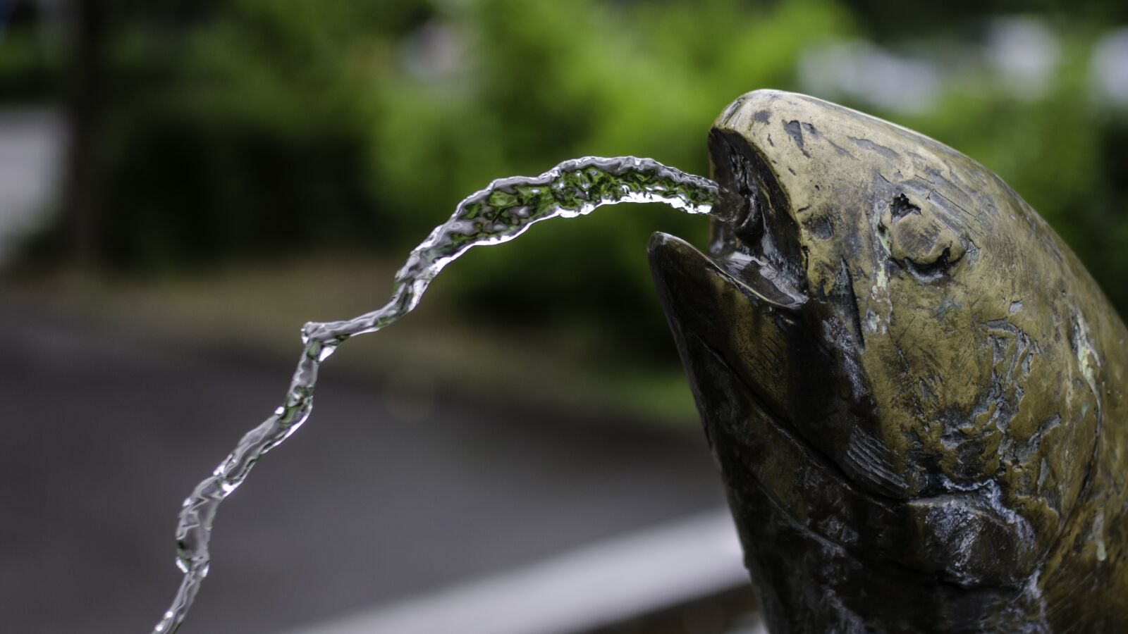 Nikon D5100 sample photo. Fountain, water, fish photography