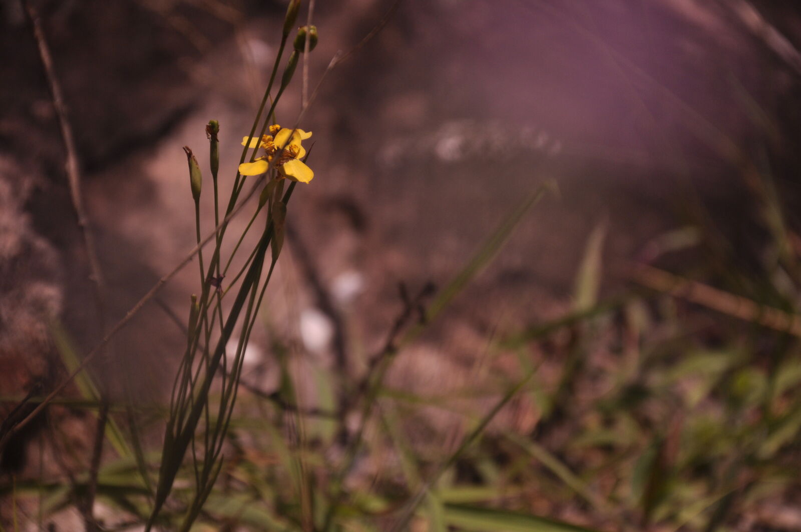 Nikon D90 sample photo. Brasil, brazil, casa, cidade photography