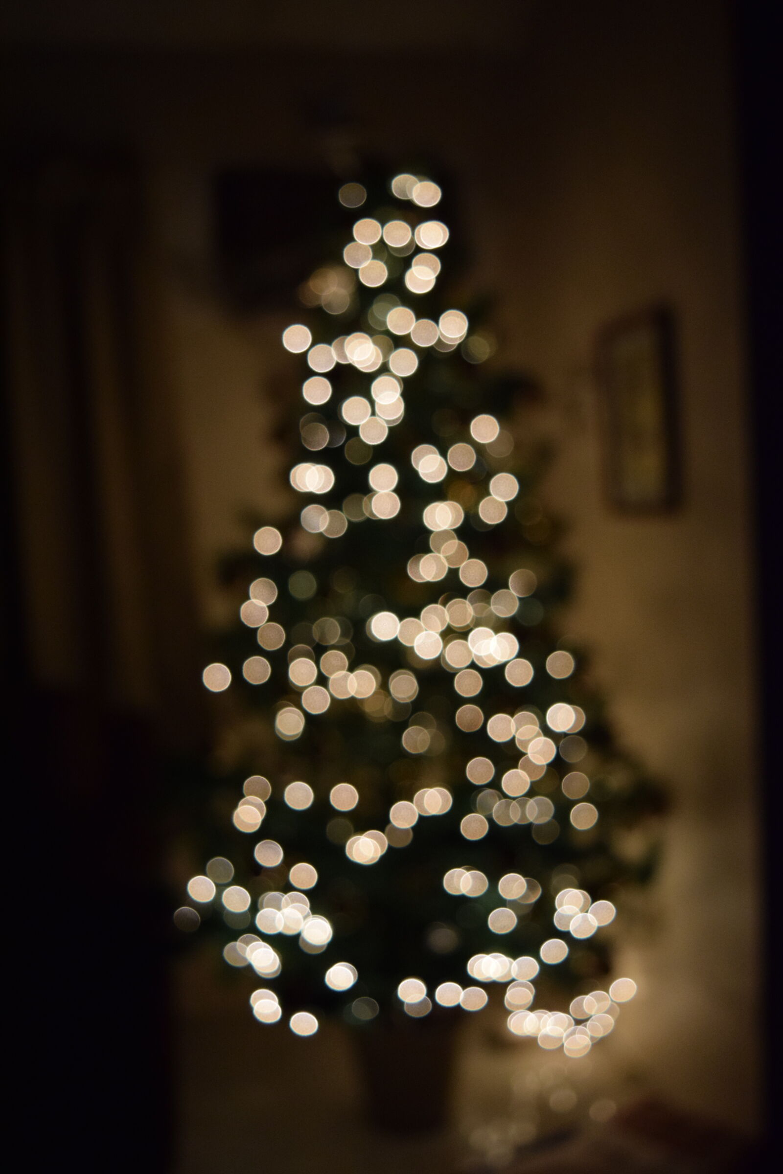 Nikon D3300 sample photo. Bokhe, christmas, tree photography