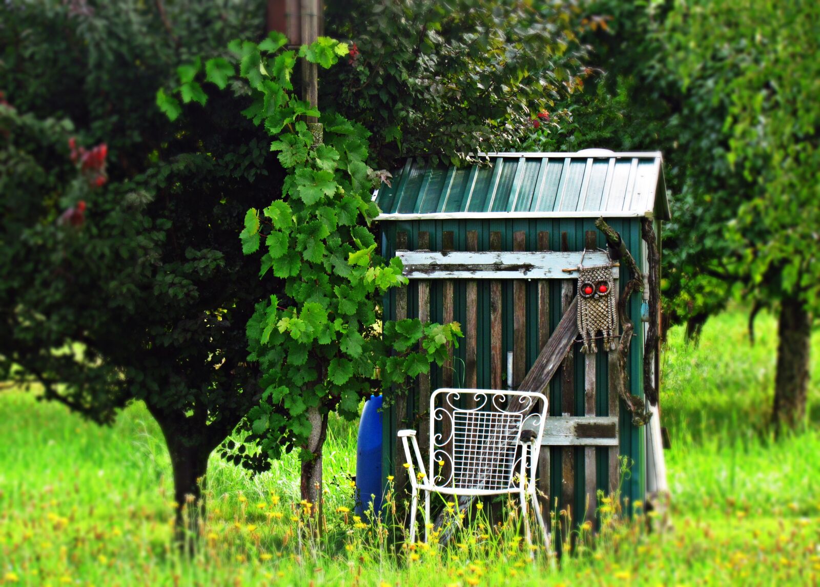 Canon PowerShot SX30 IS sample photo. Hut, landscape, shed photography