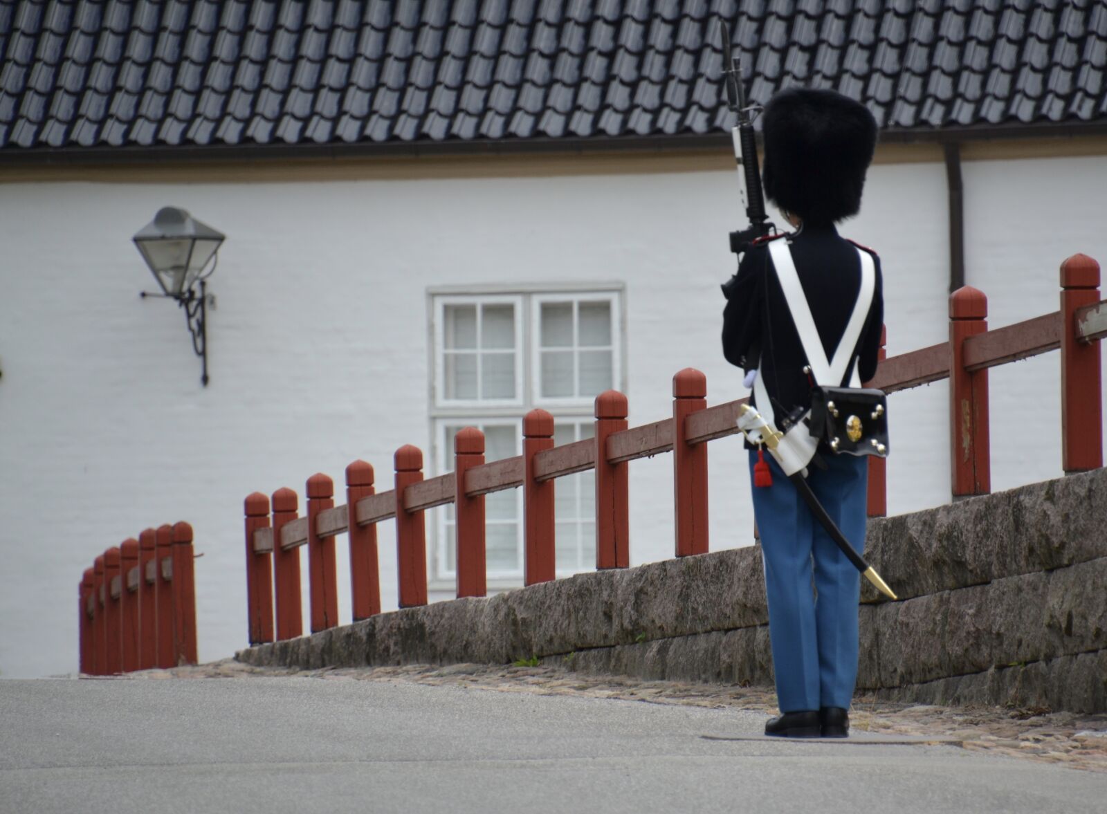Nikon D3100 sample photo. Soldier, guard, lonely photography