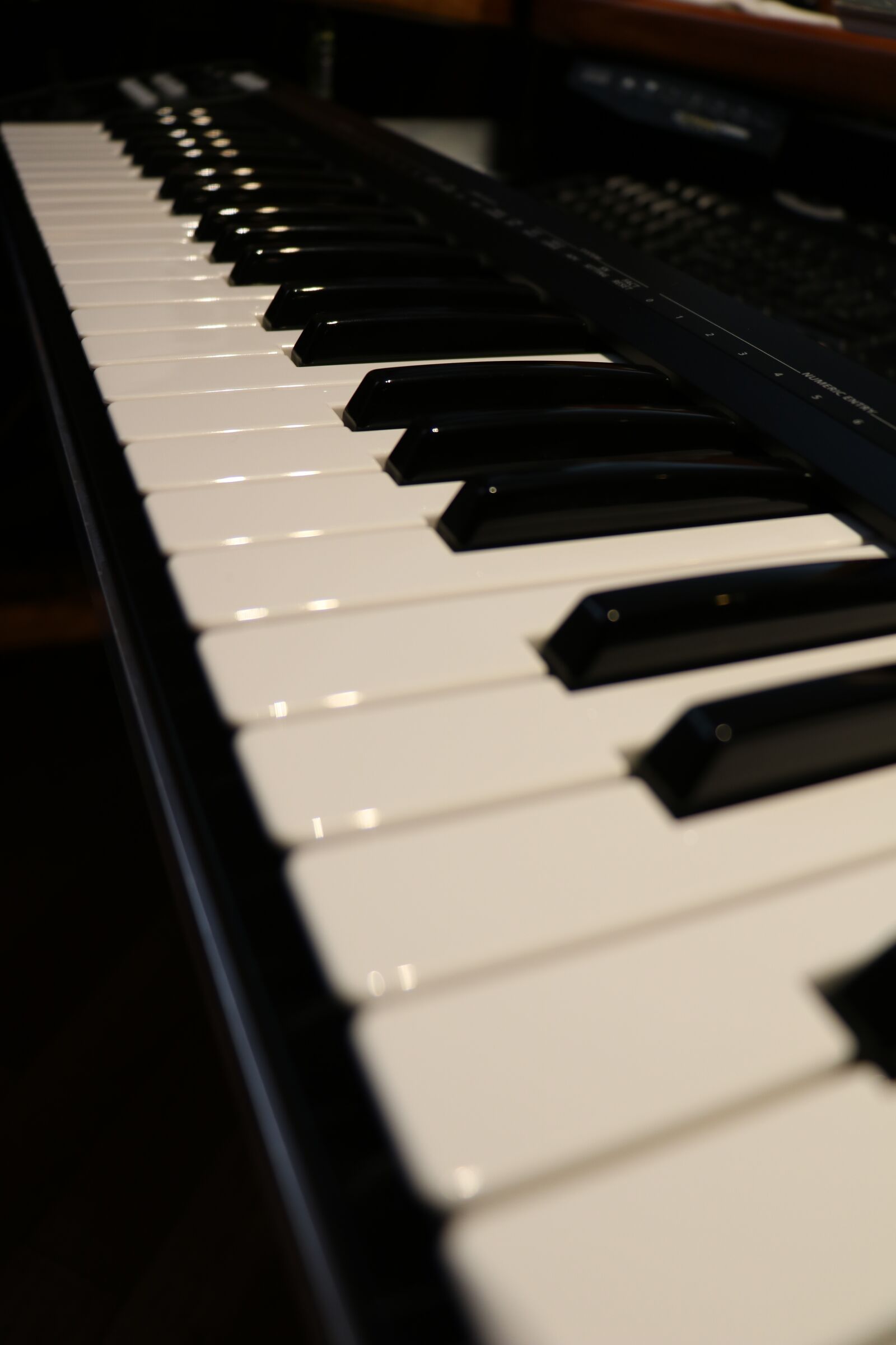 Canon EF-S 18-135mm F3.5-5.6 IS STM sample photo. Keyboard, piano, instrument photography