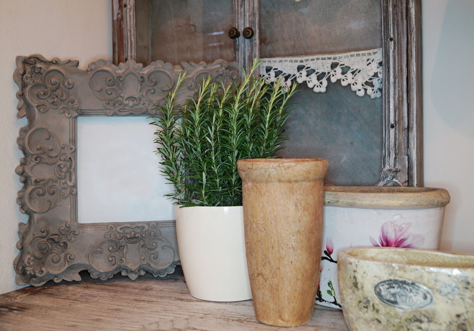 Sony SLT-A57 sample photo. Border, herbs, flowerpot photography