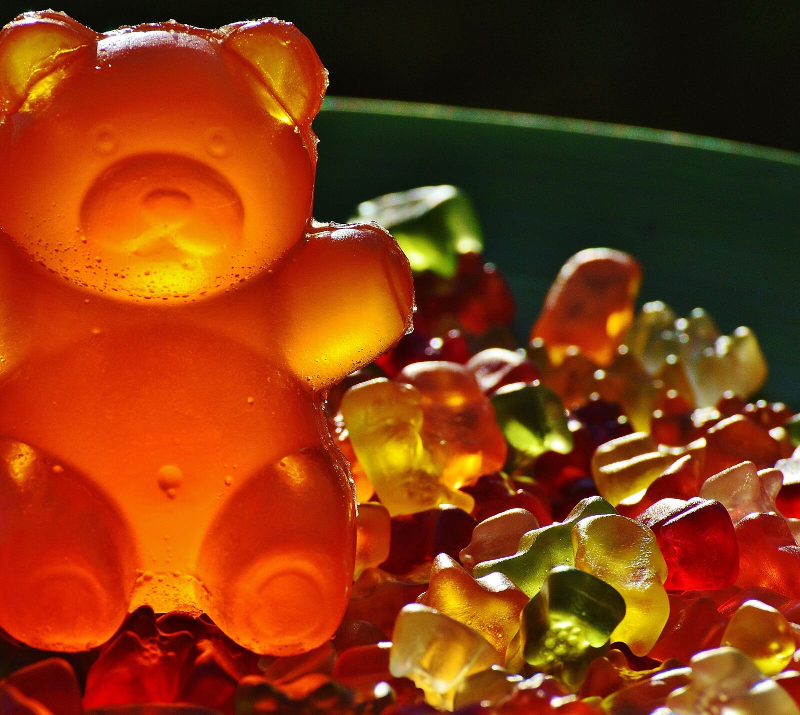Nikon D3200 sample photo. Gummib rchen, giant rubber photography