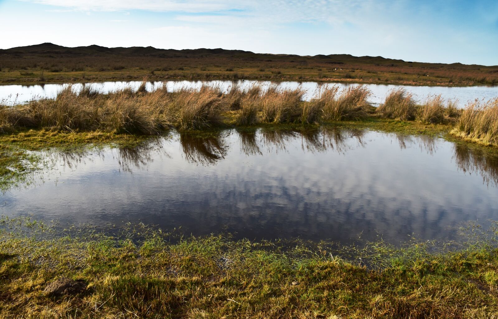 Nikon D5500 sample photo. Pond, lake, water photography