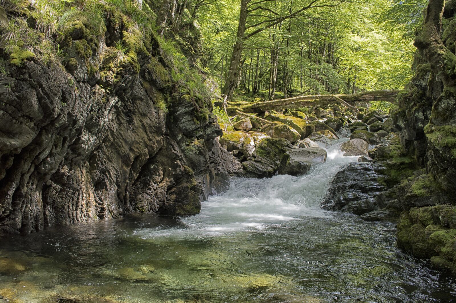 Nikon D3200 sample photo. Hiking, river, nature photography