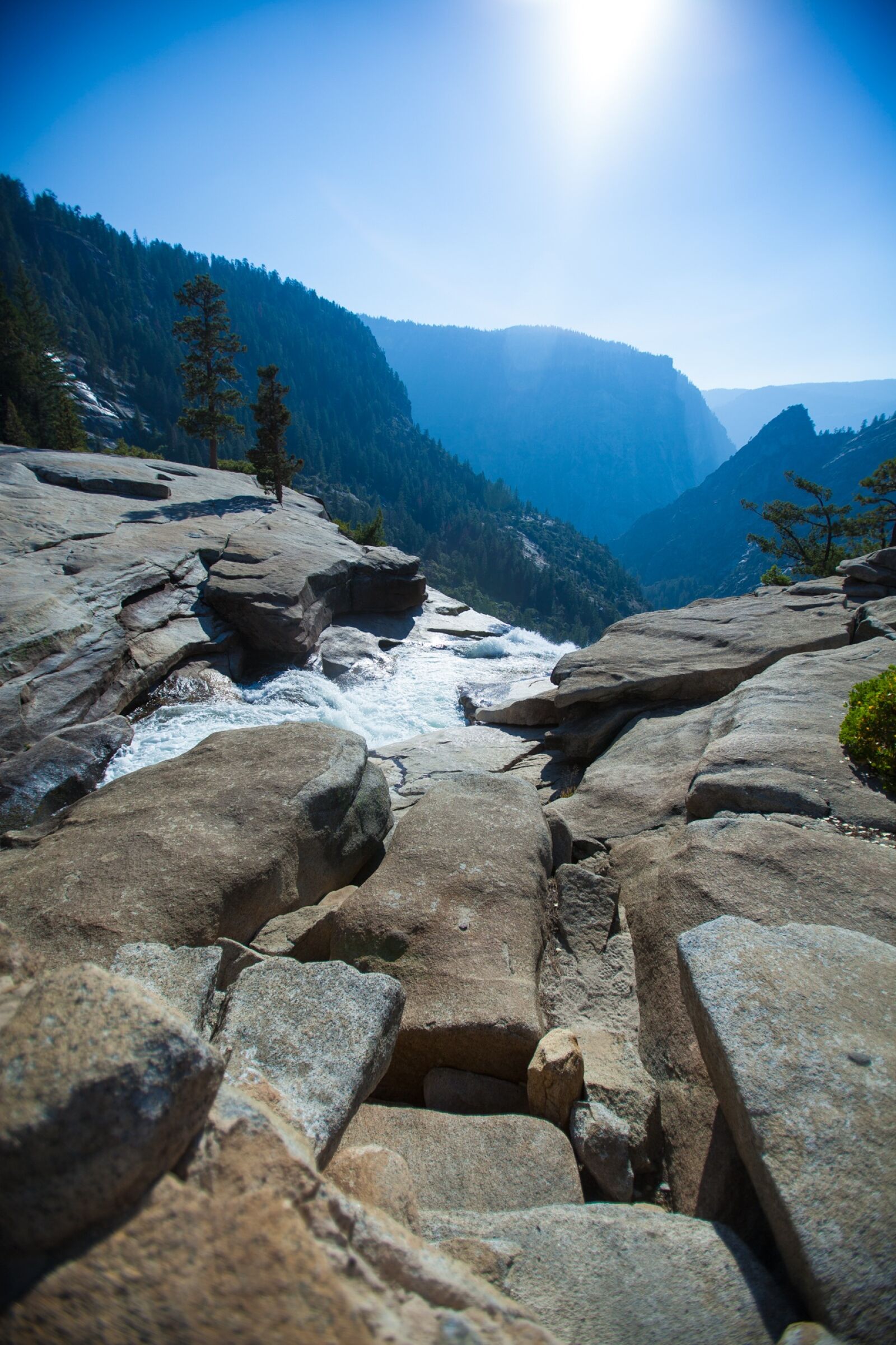 Canon EOS 5D Mark II + Canon EF 16-35mm F2.8L USM sample photo. Yosemite, mountains, forest photography
